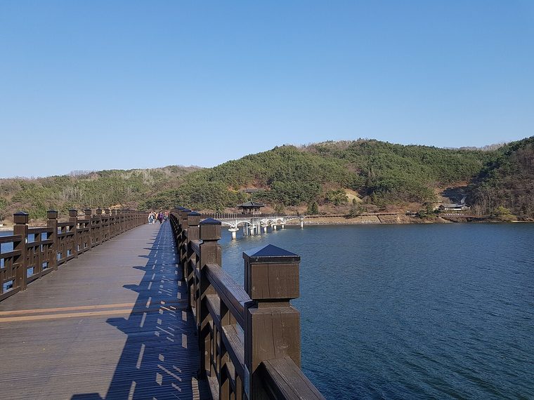 안동호 위에 길게 놓인 나무다리 월영교
